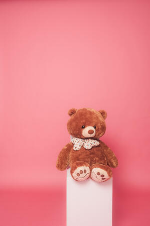 Teddy bear